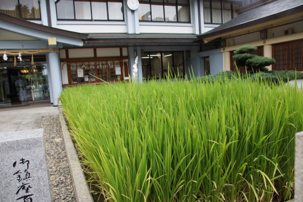 gokoku36 (104).jpg